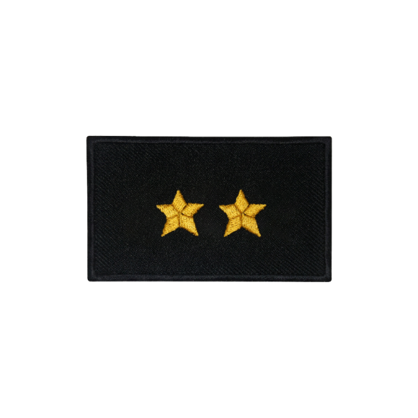 Dystynkcje funkcyjne PSP z rzepem starszy aspirant