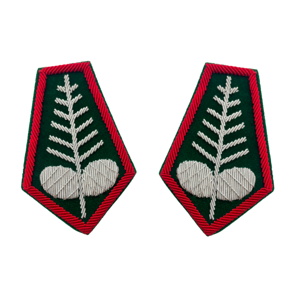 Patki PZŁ łowczy okręgowy